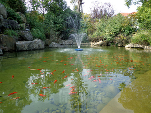 張江潤和國際總部園觀賞魚池治理