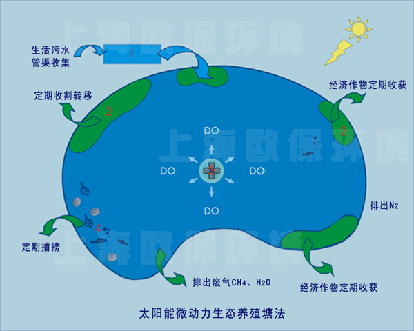 太陽能微動力生態養殖塘法