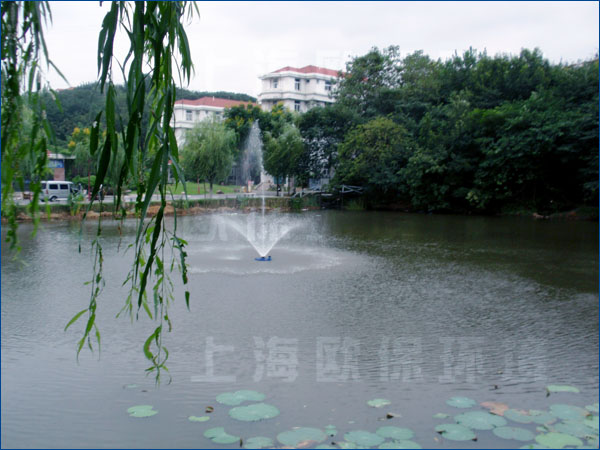 南京工業大學,人工湖治理,浮水噴泉,浮水噴泉曝氣機