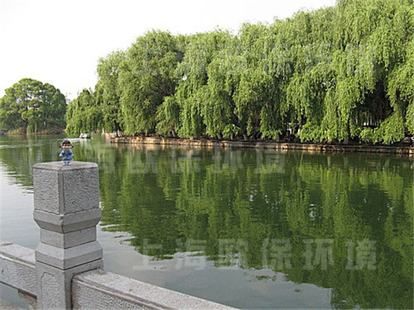 昆明翠湖公園，人工湖治理