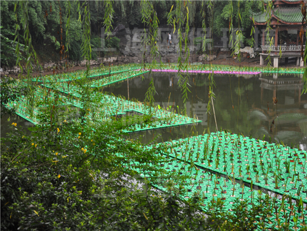 云南某公園正在種植中的抗風浪型生態浮島