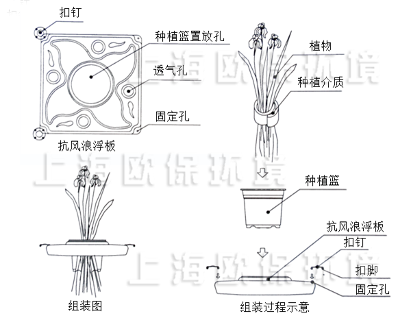 多年生抗風浪型生態浮島種植方式