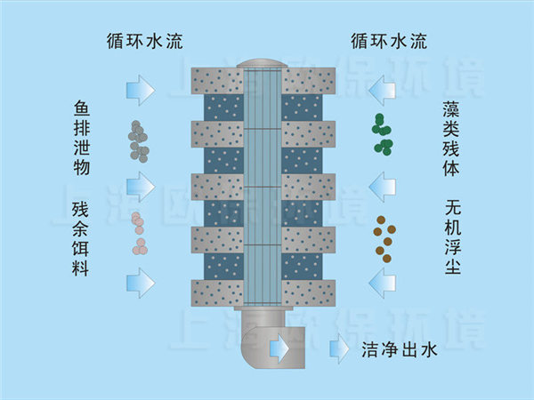 浸沒式生物過濾單元凈水機理