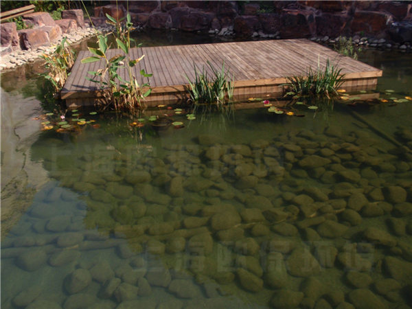 水中凈化槽安裝的浸沒式生物過濾器