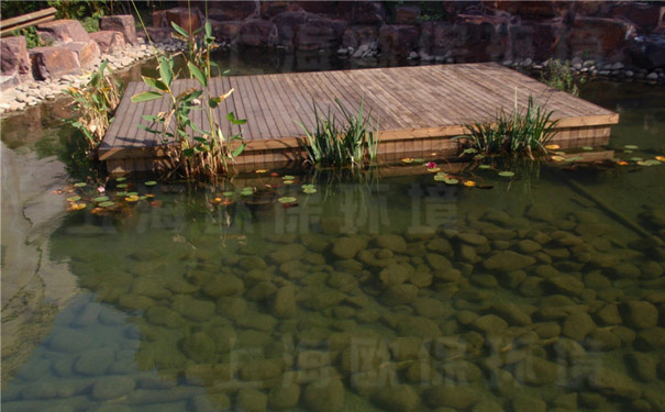 浸沒式生物過濾器