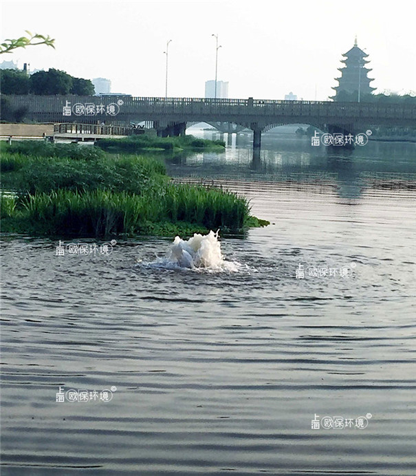 涌泉曝氣機(jī)湖泊中的應(yīng)用