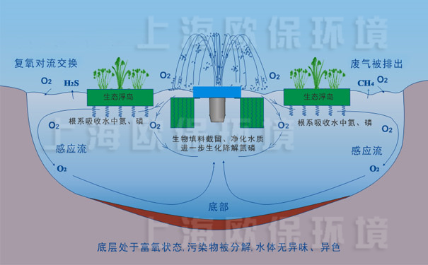 氧化塘增容凈化裝置-工作原理圖