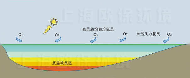 使用前水體自然分層明顯，底層處于缺氧狀態