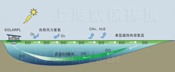 使用一段時間后，底層溶解氧提高，污染指標明顯下降