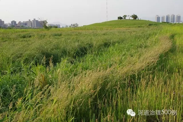 第一密植種植區