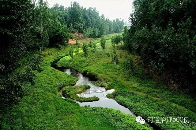 恢復自然河流原有的低水路