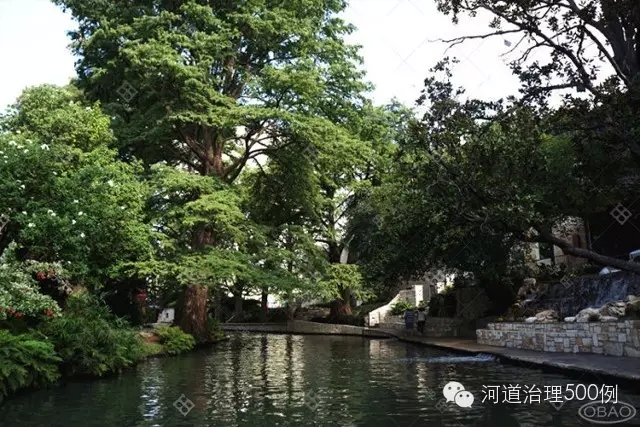 河兩岸綠樹成林