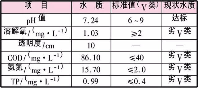 蝦龍圩治理段水質(zhì)監(jiān)測(cè)結(jié)果與分析