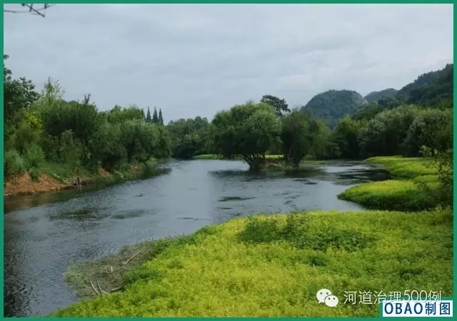 希望綠意盎然的花溪河能再現