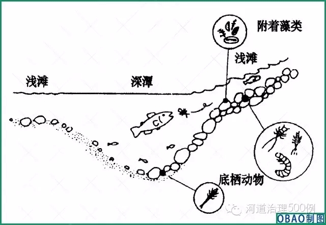 淺灘-深潭示意圖