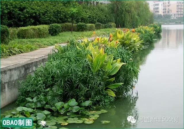 浮田型生態(tài)浮島構建沿河植物景觀凈水帶