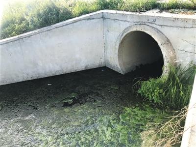 位于隨州歡樂世界府河對岸的一處生活污水直排管道，生活污水在這里未經處理就直接流入府河