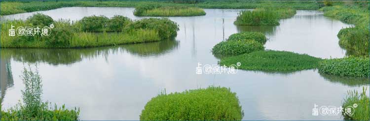 浮田型生態浮島做成各種造型安裝在湖泊中提升湖泊景觀