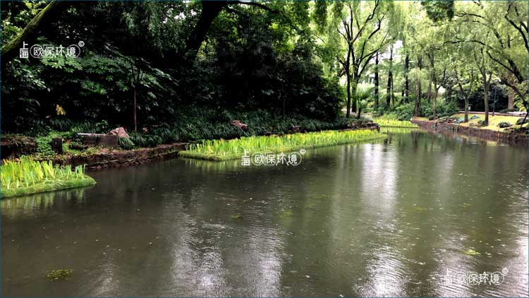 只需五步，①生產 ②安裝 ③種植 ④管理 ⑤維護，可保障浮田型浮島為你服務15年。