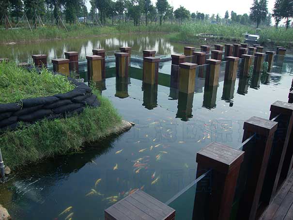 公園景觀魚池水處理凈化工程