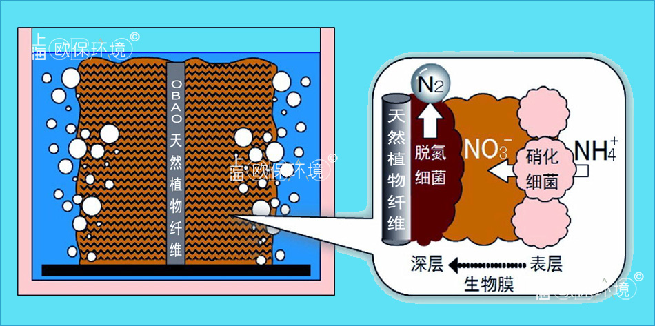 排口收集反應器原理-微生物作用