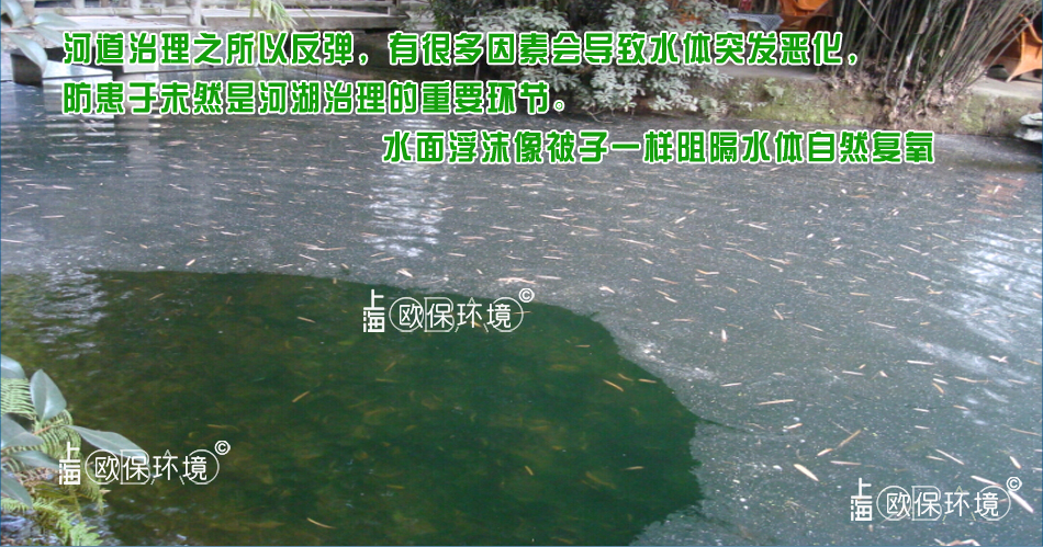 浮沫覆蓋水面，像被子一樣阻隔水體，導致水體容易黑臭