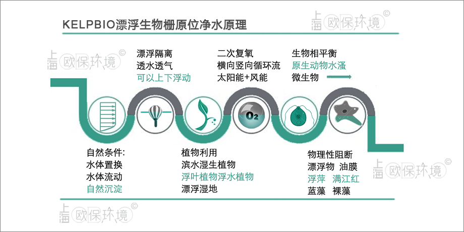 KELPBIO漂浮生物柵凈水原理