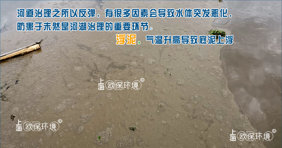 水面浮泥覆蓋表面，不及時處理，導致完全隔斷水與空氣的接觸，影響水體自然復氧與水體觀感