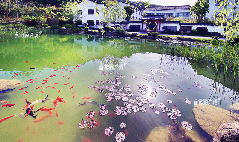 潛水生態(tài)凈化墻（浸沒(méi)式生物反應(yīng)墻）實(shí)物照片