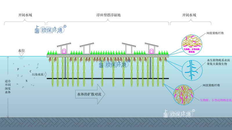 太陽能浮田型凈水平臺（太陽能曝氣生物浮島）凈水原理