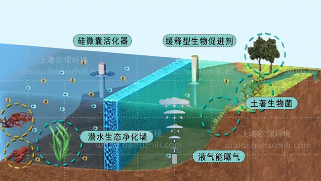 柔性立體生態護岸、潛水生態凈化墻