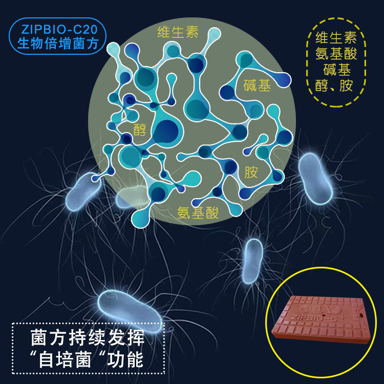 ZIPBIO-C生物倍增菌方（生物蠟塊）