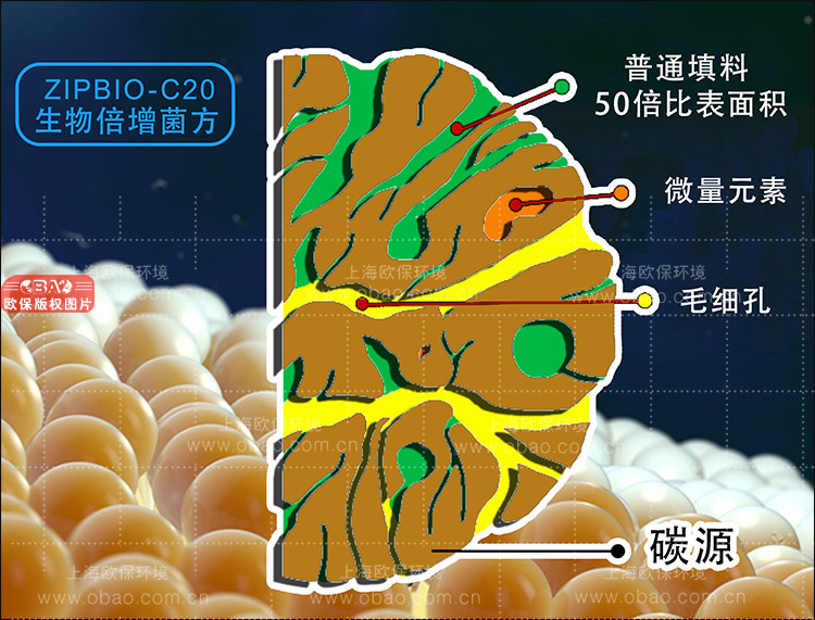 ZIPBIO生物倍增菌（生物蠟塊）