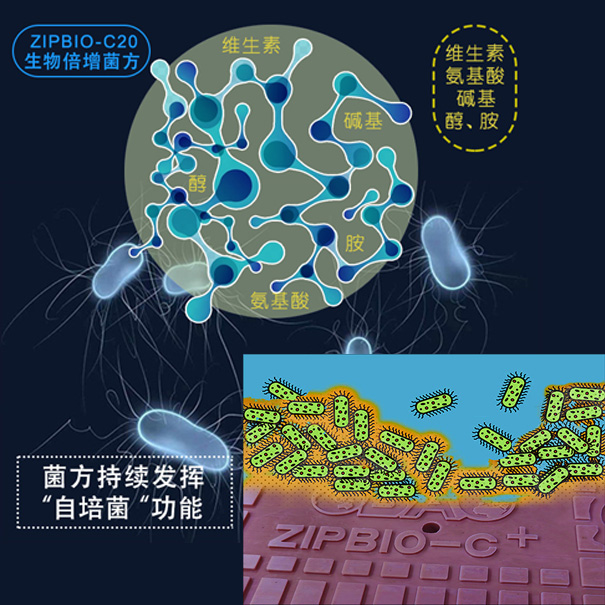 藍藻治理-投加微生物