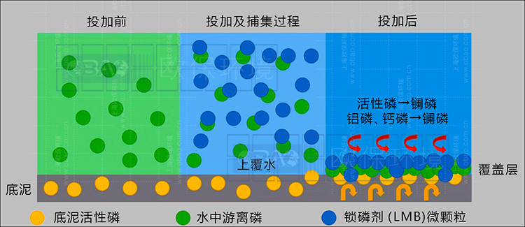 鎖磷劑凈水原理