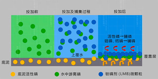 除磷劑的主要成分