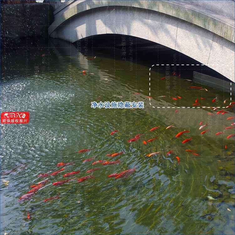 景觀魚池水處理改造工程，實現清水養魚