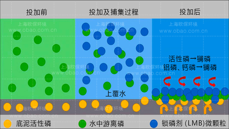 鎖磷劑