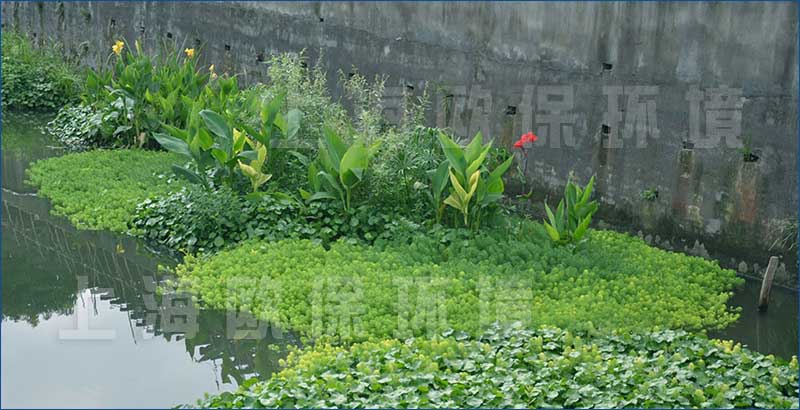 水生植物及浮動系統(tǒng)