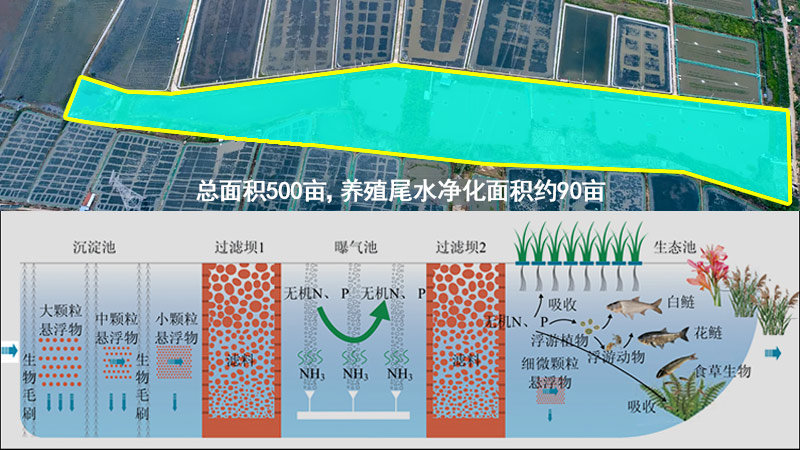 傳統三池兩壩工藝，占地面積大，性價比不高