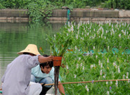 生態(tài)浮島維護(hù)