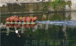 溫州中山外河道治理