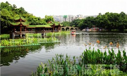 渝北碧津公園人工湖治理