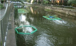 上海華東理工大學校園河道治理