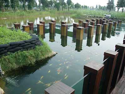 浙江某公園景觀魚池水處理凈化工程